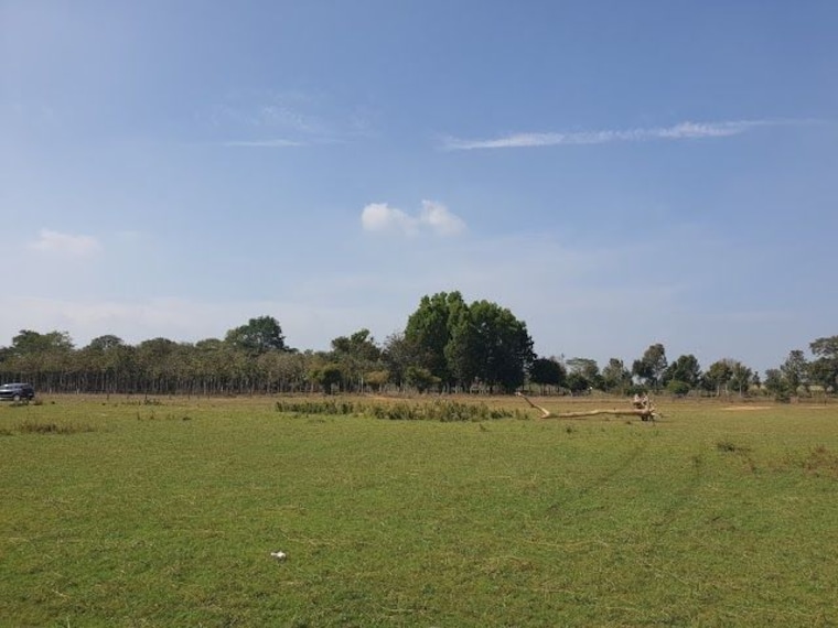 Kabini Backwater Viewpoint-2